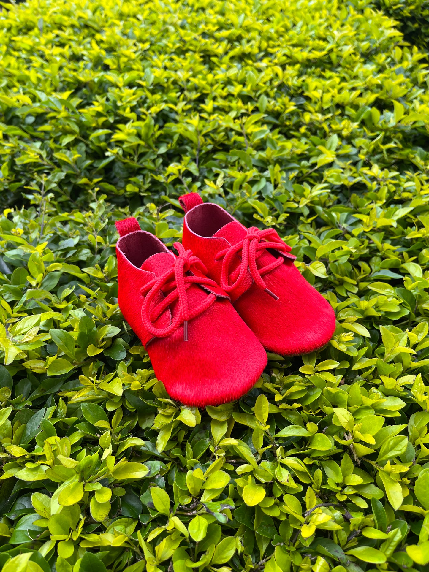 Zapato rojo
